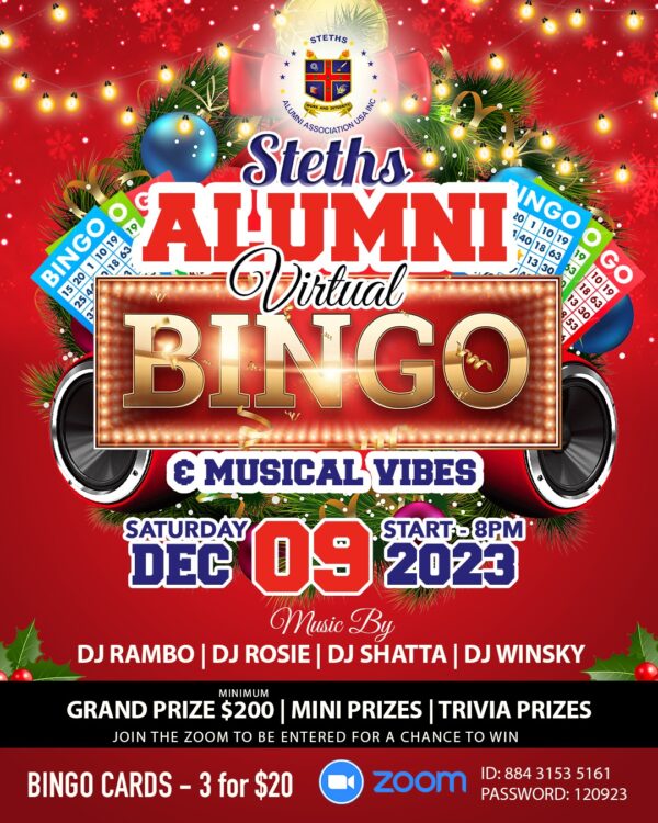Bingo Night